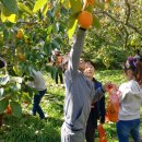 가정 농촌체험 휴양마을 이미지