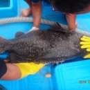 독도바다낚시터 이미지