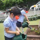 새아랑유치원 이미지