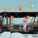 당근료칸풀빌라 이미지