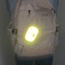 남부교육지원청 정문앞 횡단보도 | 아이 먼저 교통안전 캠페인, 옐로카드 나눔으로 안전을 더하다