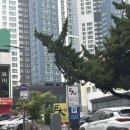거산암소갈비.냉면 | 부산 해운대 거대갈비 본점 점심특선 비추 물냉 비냉 된장찌개 김치찌개 해운대암소갈비 비교