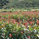 박성철농장 이미지