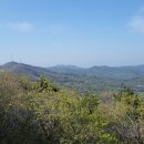 마당화원 이미지