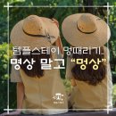 개풍농장 | 템플스테이 멍때리기, 명상 말고 '멍상' 어떠세요?