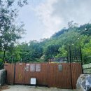멍숲 이미지