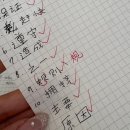 네일;물들임 | 현지 3월 보고 上
