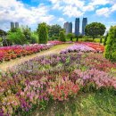 태화강 국가정원 코스 이미지