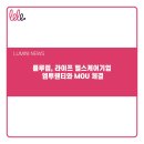 주식회사 룰루랩 네이버블로그