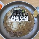 첨단모밀집 이미지