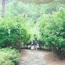 덕치리 마을회관 이미지