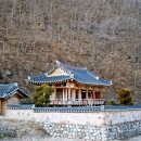이명조경 이미지