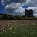 광양커뮤니티센터 이미지