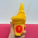 보홀 알로나비치 맛집 할로망고 내돈내산 메뉴 할인 아이랑 재방문 후기