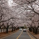 순천금당고등학교 이미지