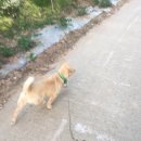 재철농장 이미지