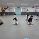 용인대용전태권도 이미지