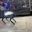 GIANT&PLAY ZONE 이미지