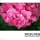 한선한의원 이미지