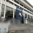 러브 오브 마이라이프 | 2024 엘(김명수) 아시아 투어 팬미팅 'REBOOT' 서울 막공 후기 (240825)