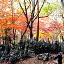 노추산 티스토리