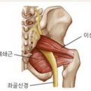 이상근 이미지