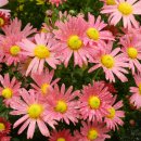 온화한의원 이미지