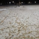 계백로(가수원육교-가수원교) | 아침 산책 2025. 12. 5. 금. '04:49~06:41' -서대전 시민공원-