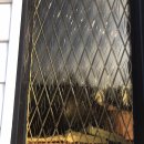 리빙워터(Living water) 이미지