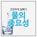 언니네점핑