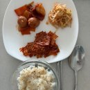 하나방역 동부산지점 | 최고 급여 가능했던 서울 친정엄마 산후도우미 해피케어 동부산지점 후기!! 친정엄마산후도우미후기 입니다