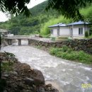 경기 통돼지 바베큐