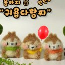 조아조아주 이미지