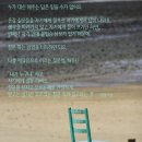 [반야심경] 불구부정(不垢不淨) - 발우공양이 더럽다고? 이미지