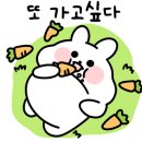 초원노래타운