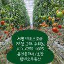 탑(대림롯데)공인중개사사무소 | 서면 네오스포아파트 35형 깔끔 수리 찐 급매. 서면 아파트급매. 탑네오부동산