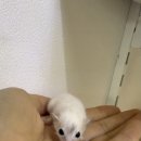 서산아크릴 네이버블로그
