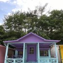 Heyday House 이미지