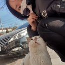 진또배기 초당순두부 네이버블로그