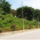 가로수길 이미지