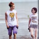 가인투어 이미지