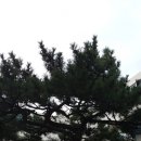 경포비치호텔 이미지