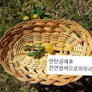 라탄공예 이미지