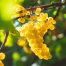 (주)빅코 이미지