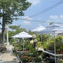 도구제일약국 이미지