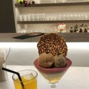 TOY BOX | 삿포로에 또 갈까요? | 겨울 삿포로 맛집 여행, 비에이투어 추천, 삿포로 맛집 | 어쩌다보니 엔시티를...