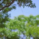 스테이청춘 이미지