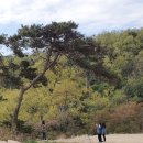 도우제펜션 이미지