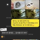 언제나고양이 이미지