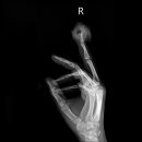 리더스병원 이미지